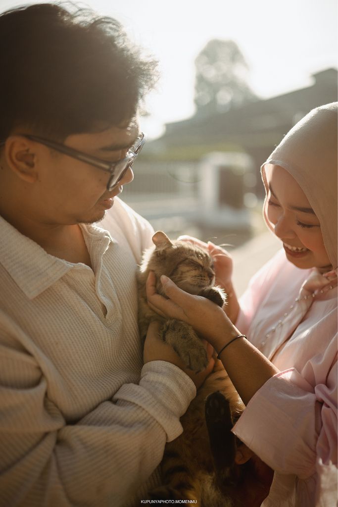 Bermain dengan kucing